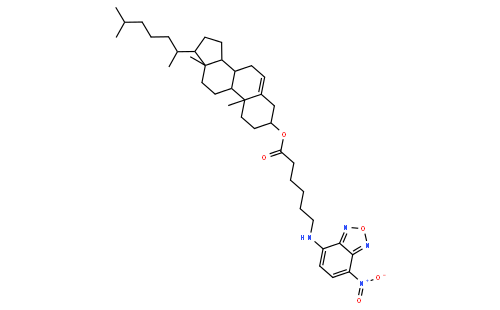 (3β,20R)-Cholest-5-en-3-yl 6-[(7-nitro-2,1,3-benzoxadiazol-4-yl)a mino]hexanoate
