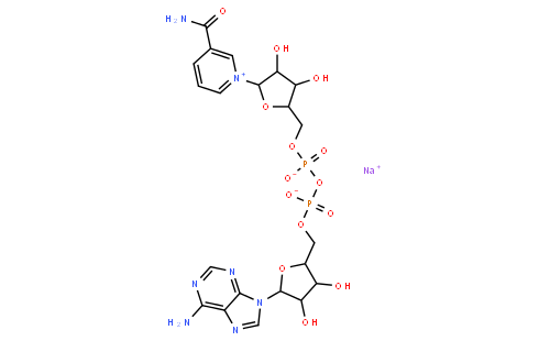 Adenosine5'-(trihydrogen diphosphate), P'&reg