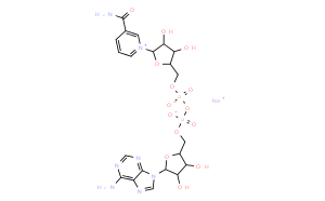 Adenosine5'-(trihydrogen diphosphate), P'&reg