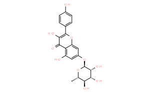 Kaempferol7-O-rhamnoside