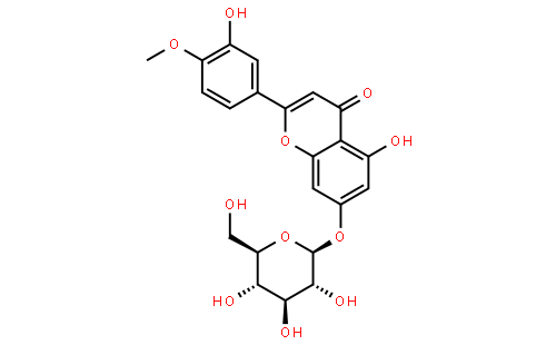 香叶木素-7-o-Β-d-葡萄糖苷