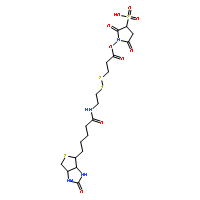 2-[生物素氨基]乙基-1,3-二硫基丙酸磺基琥珀酰亞胺酯