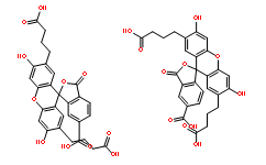 2',7'-二（3-羧丙基）-5（6）-羧基-荧光素