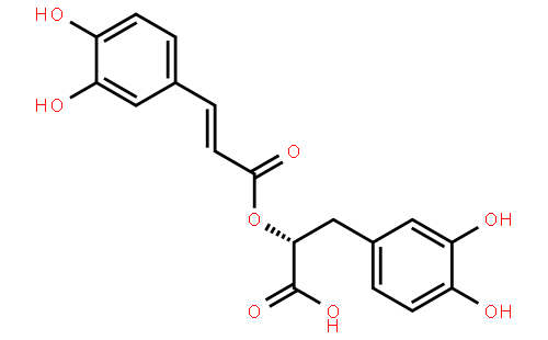 迷迭香酸