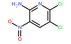 5,6-dichloro-3-nitropyridin-2-aMine