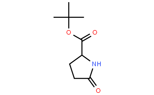 D-Pyroglutamic acid tert-butyl ester