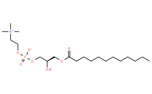 1-lauroyl-2-hydroxy-sn-glycero-3-phosphocholine
