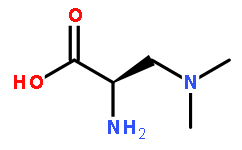 Boc-D-Alanine, 3(Dimethylamine)