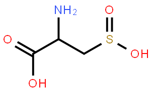 L-半胱亞磺酸