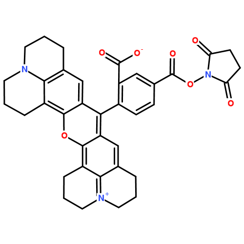 5-Carboxy-X-rhodamine N-succinimidyl ester