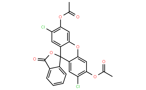2',7'-Dichlorofluorescein diacetate