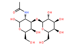 β1-3 Galactosyl-N-acetyl galactosamine