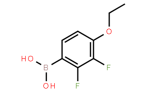 2.3-二氟-4-乙氧基苯硼酸