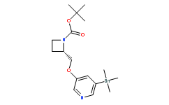 5-Iodo-A-85380, 5-trimethylstannyl N-BOC derivative(213766-21-3)