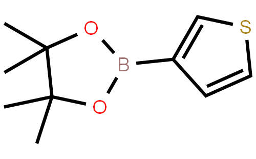 噻吩-3-硼酸频哪醇酯