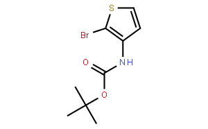 tert-butyl (2-broMothiophen-3-yl)carbaMate