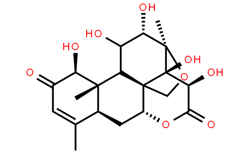 鸦胆子素 D