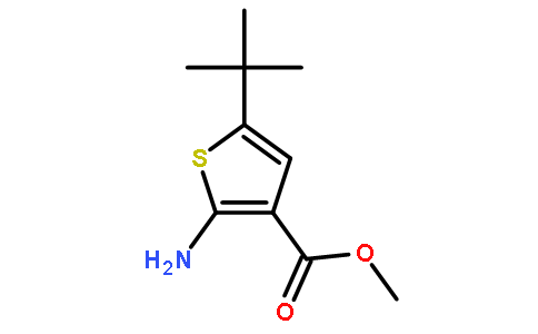 methyl 2-amino-5-tert-butylthiophene-3-carboxylate