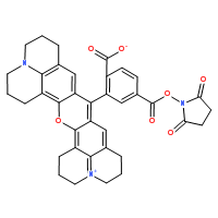 6-ROX[5-羧基-X-羅丹明琥珀酰亞胺酯] *單體*