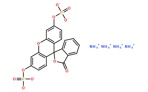 FDP  [Fluorescein diphosphate, tetraammonium salt]