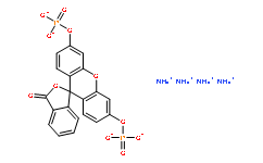 FDP  [Fluorescein diphosphate, tetraammonium salt]
