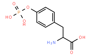 O-磷酸基-L-酪氨酸