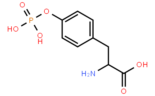 O-Phospho-L-tyrosine
