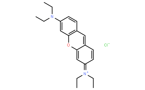 派洛宁B