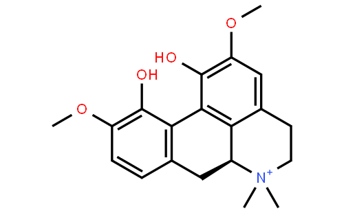 Magnoflorine