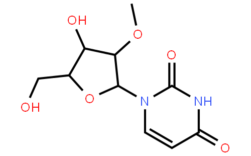 2'-甲氧基尿苷