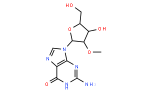 2'-O-甲基鸟苷水合物