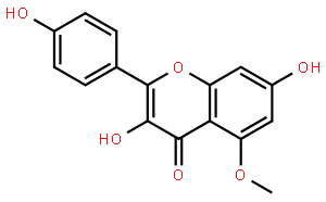 5-甲氧基山奈酚; 5-甲氧基莰非醇