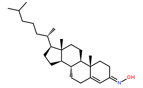 奥利索西