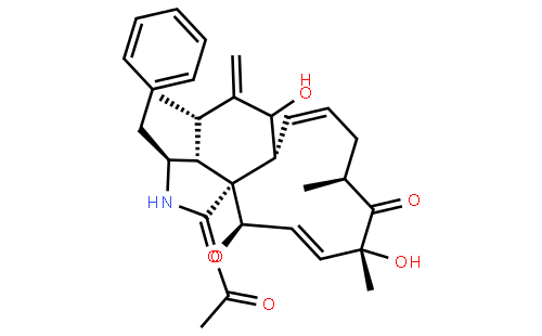 Cytochalasin D (NSC 209835, Zygosporin A)