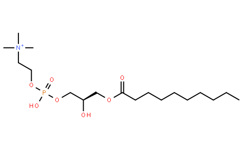 1-decanoyl-2-hydroxy-sn-glycero-3-phosphocholine