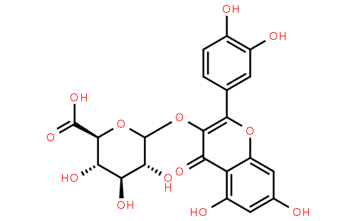 Quercetin3-O-β-D-Glucuronide