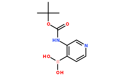 3-(tert-butoxycarbonylamino)pyridin-4-ylboronic acid