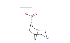 tert-butyl 3,7-diaza-bicyclo[3.3.1]nonane-3-carboxylate