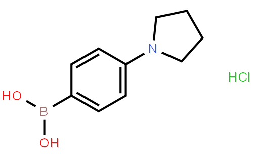 4-(PYRROLIDINO)PHENYLBORONIC ACID HCL