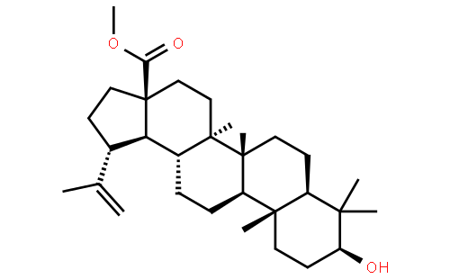 BETULINIC ACID METHYL ESTER