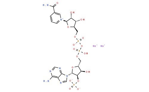 beta-烟酰胺腺嘌呤二核苷酸磷酸二钠盐