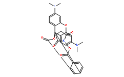 5(6)-carboxytetramethylrhodamine succinimidyl ester