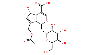 车叶草苷酸