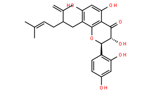 KushenolX