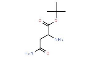 H-Asn-OtBu