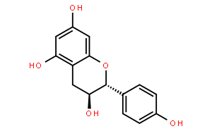 阿夫儿茶精