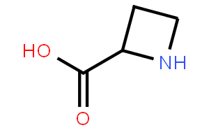 L-鈴蘭氨酸