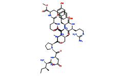 BVD 10