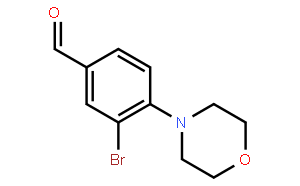 3-溴-4-(4-吗啉基)苯甲醛