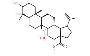 3，27-二羟基-20(29)-流明-28-酸甲酯